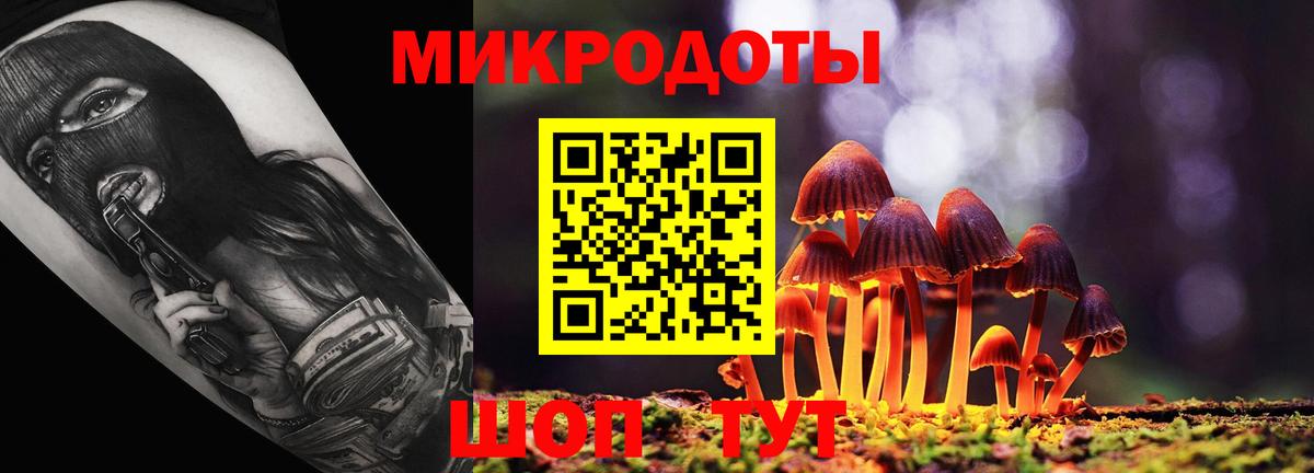 Галлюциногенные грибы Psilocybine cubensis Славянск-на-Кубани